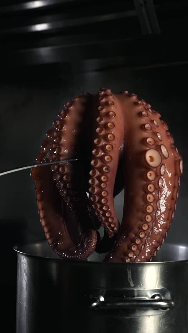 imgi_9_565100668_684191267608657_5240200039226212231_n